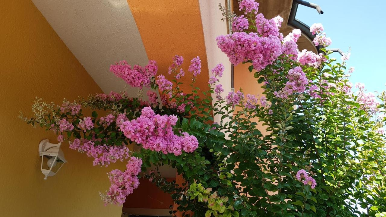 B&B Villa Giulia Desenzano del Garda Exterior photo
